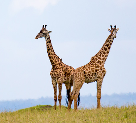 Day 1