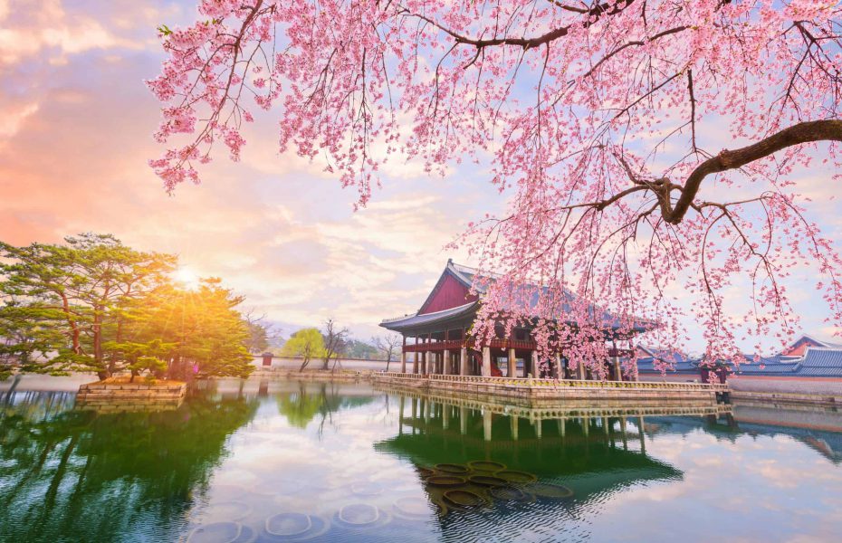 晨曦之国
