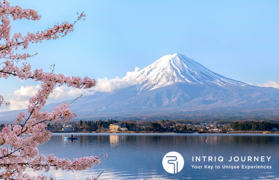 揭开隐藏瑰宝的神秘面纱–日本独有的偏僻目的地