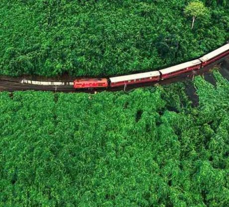 SJourney Train (Luxury Cabin)