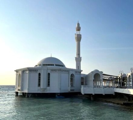第5天