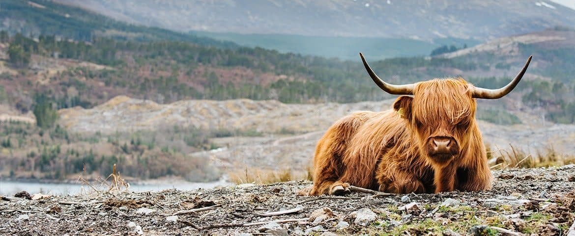 Nyingchi Altitude and Acclimatisation: How Travellers Adjust Before Exploring Tibet