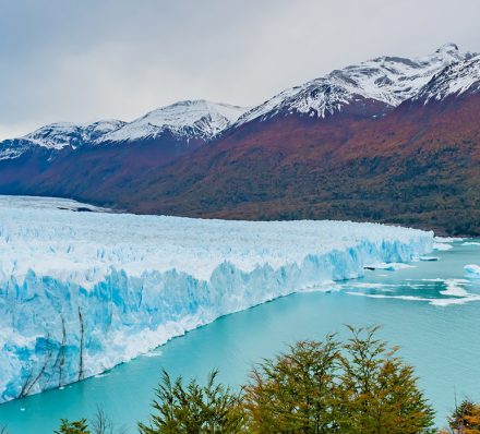 EL CALAFATE