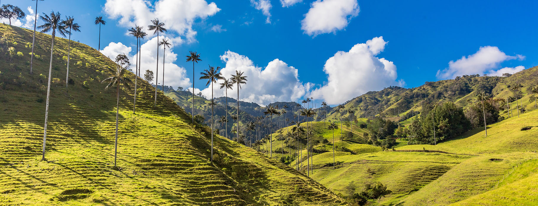 Colombia