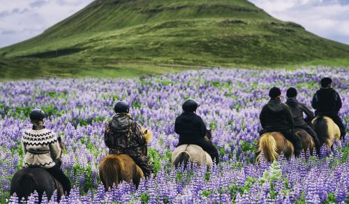 9 DAYS ICELAND’S UNTAMED SPLENDOR – LUXURY IN WILDERNESS