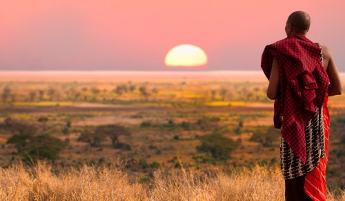 7 DAYS BEST OF KENYA