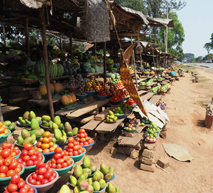 Arrival in Entebbe 