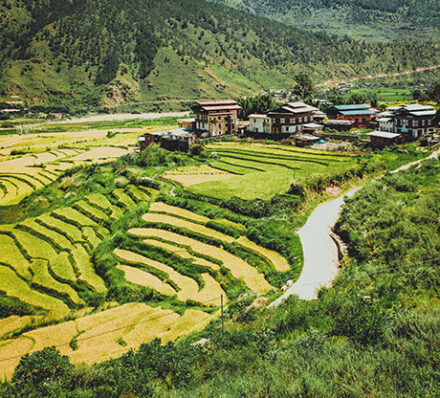 Thimphu / Punakha