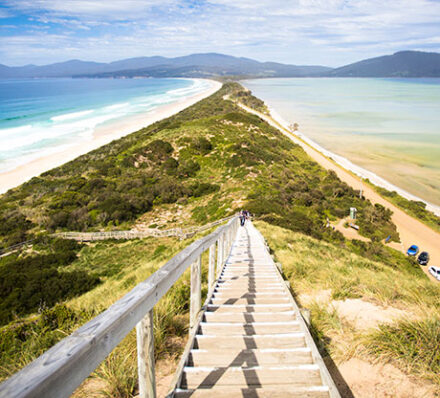 Hobart / Bruny Island / Hobart