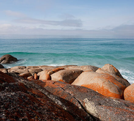 Hobart / Freycinet National Park