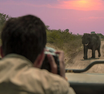 Kibale NP / Queen Elizabeth NP