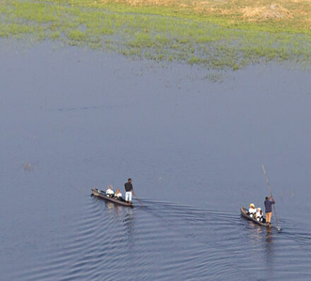 Okavango Delta