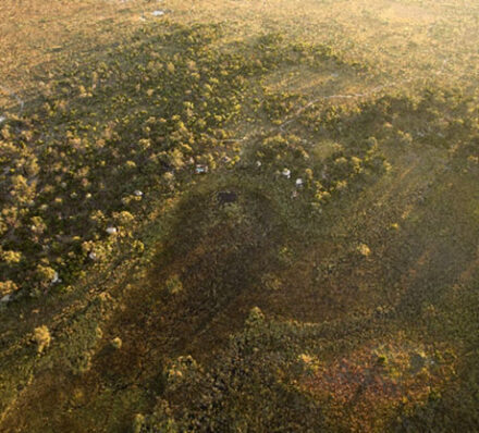 Okavango Delta / Departure from Maun