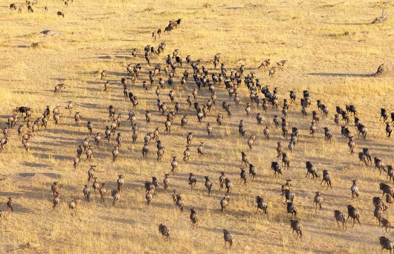 Tanzania-Rwanda Combo: Singita