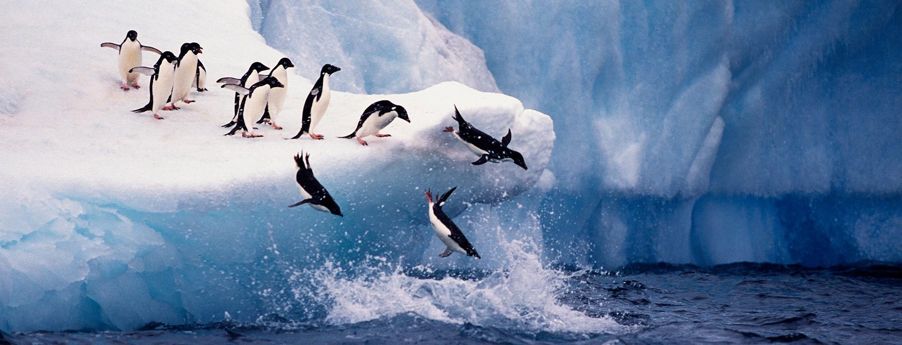 8 DAYS ANTARCTICA FLY-CRUISE