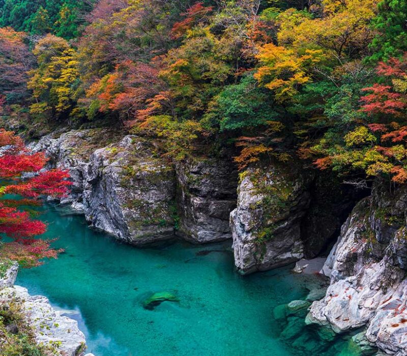 Japan