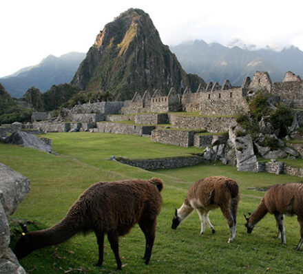Sacred Valley / Ollantaytambo / Machu Picchu (Altitude Range 2040-2430m)