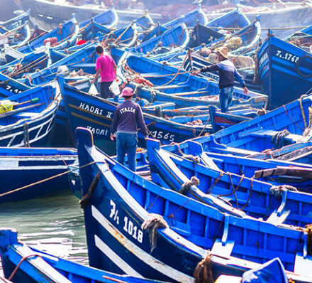 Essaouira / Marrakech