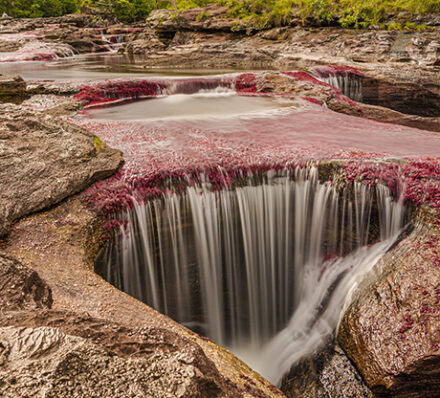 Macarena – Cano Cristales