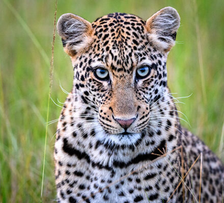 Kigali / Akagera NP 