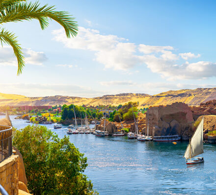 Luxor / Edfu / Kom Ombo / Aswan