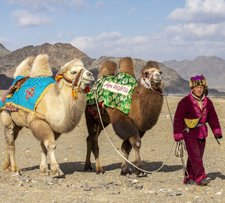 Khongor Els / Gobi Desert