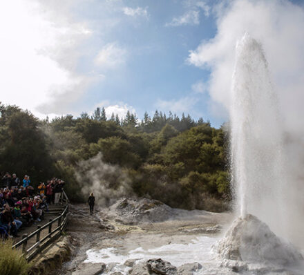 Lake Taupo or Rotorua