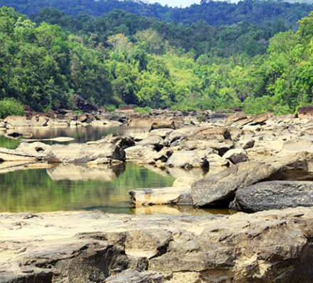 Cardamom National Park