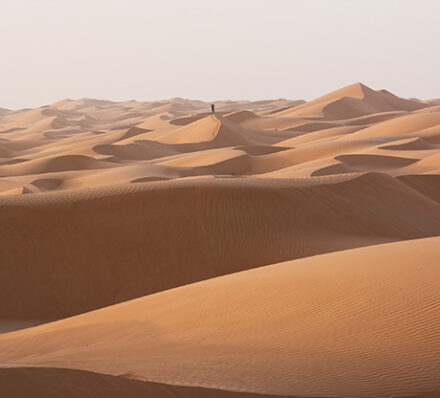 Wahiba Sands / Wadi Bani 		Khalid / Wahiba Sands