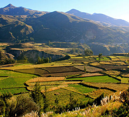 Arequipa / Colca Canyon (Altitude Range: 3,400 – 4,900m)