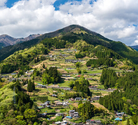 Ochiai / Iya Valley