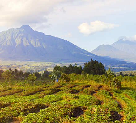 Akagera National Park / Volcanoes National Park 