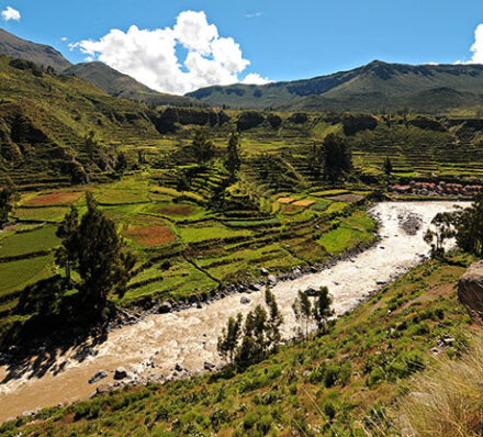 Colca Canyon (Average altitude 3,650m)