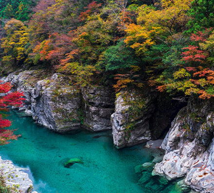 Iya Valley / Kanonji 