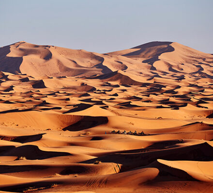 Fes / Erg Chebbi