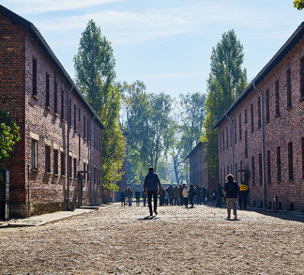 Wroclaw / Auschwitz / Krakow