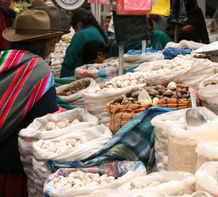 Puno or Lake Titicaca / Pisac / Sacred Valley (Altitude Range 3900-2871M)