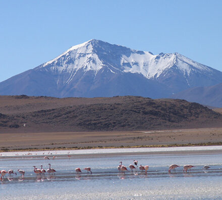 Tahua / Colchani (Uyuni) (Altitude Range 3700-4500m)