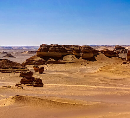 Cairo / Fayoum Oasis / Cairo 