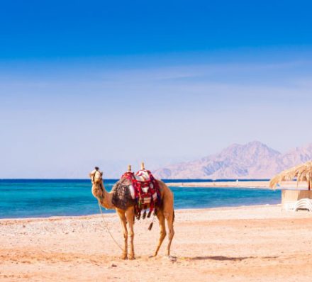 Hurghada