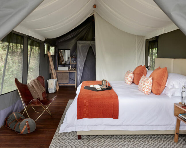 Ngorongoro