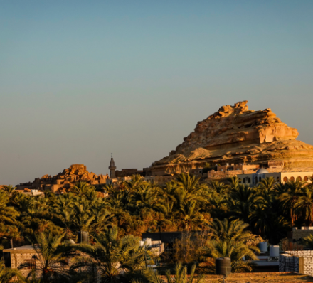 Cairo / Siwa