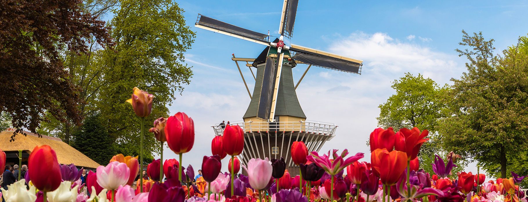 8 DAYS HOLLAND & BELGIUM TULIP CRUISE