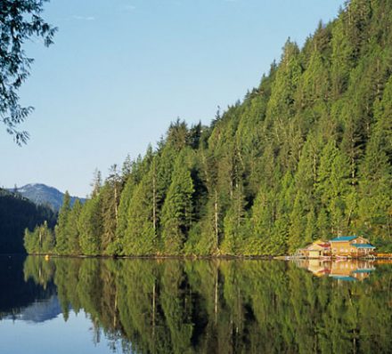 Port Hardy / Great Bear Rain Forest