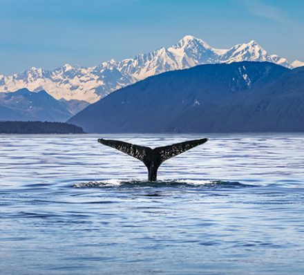 Alaska