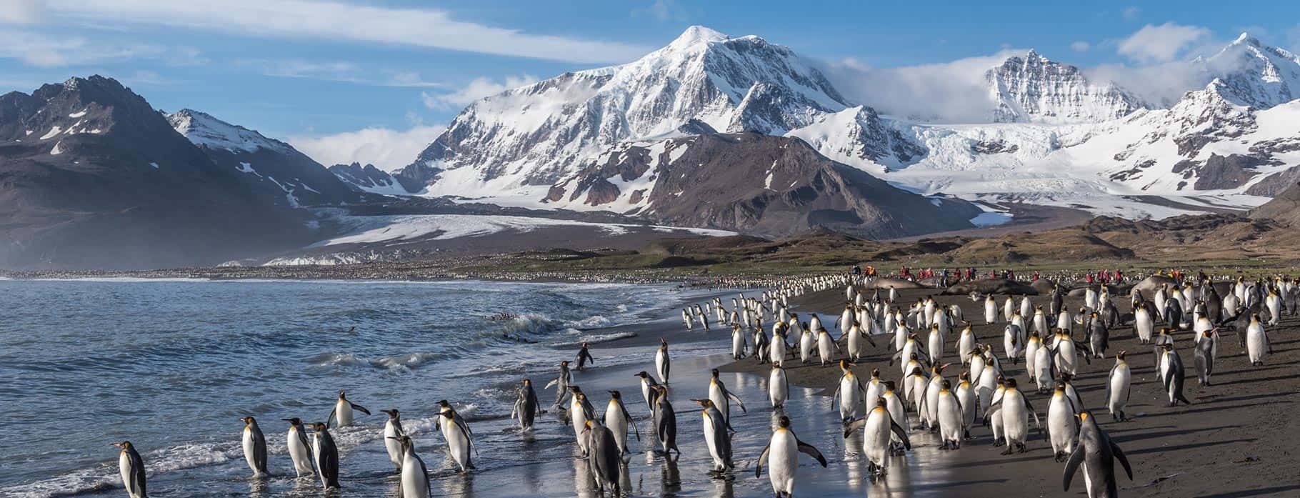 Antarctica