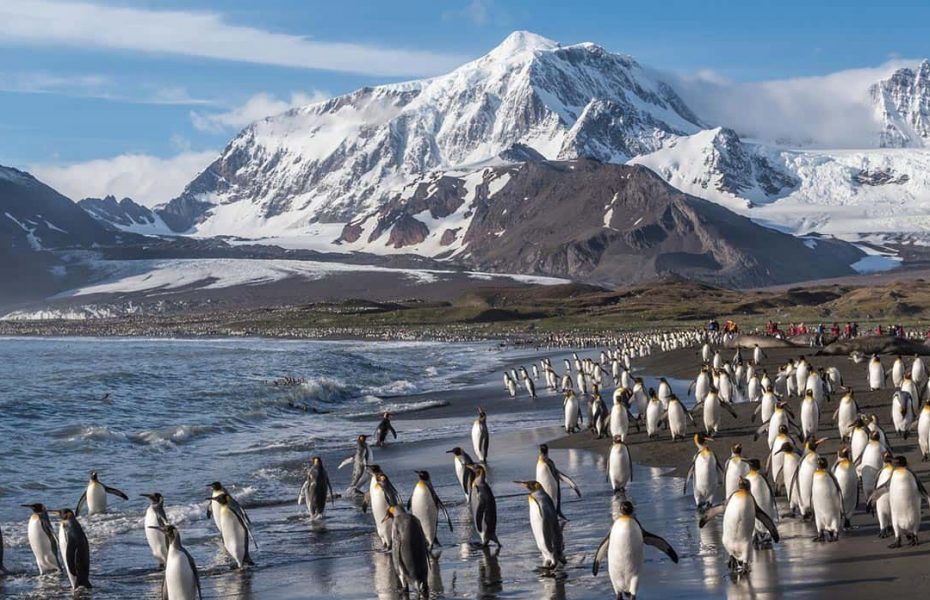 Aurora Expeditions – Antarctica Offers & More!