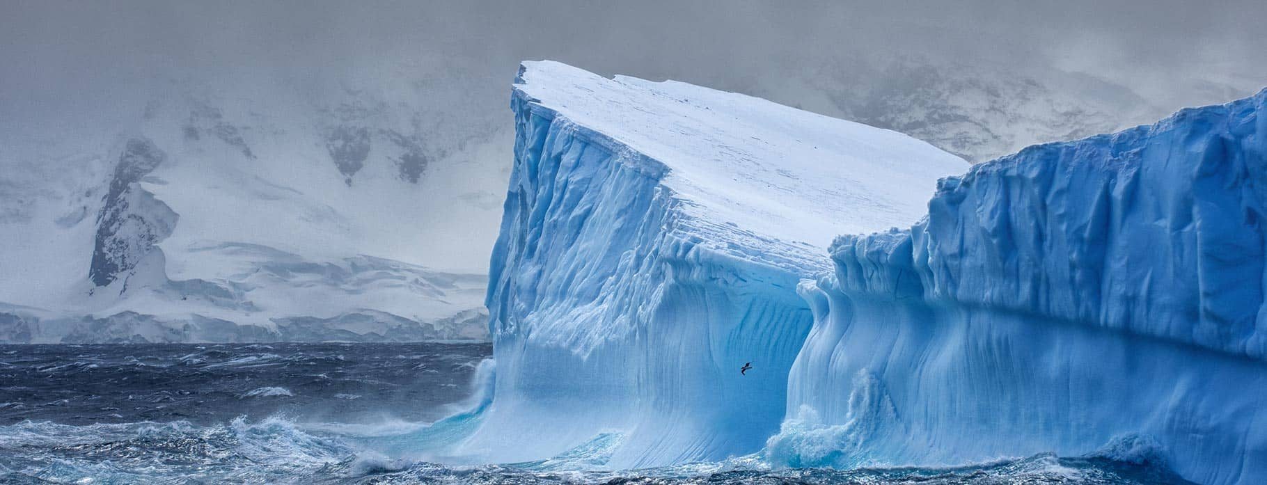 Antarctica 