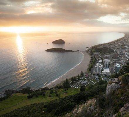 Tauranga (Bay of Plenty)