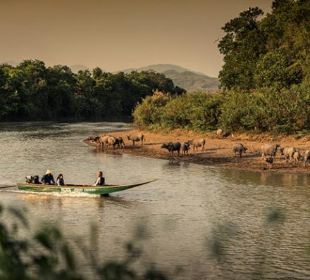 Chiang Saen 